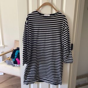 Everlane shirt dress